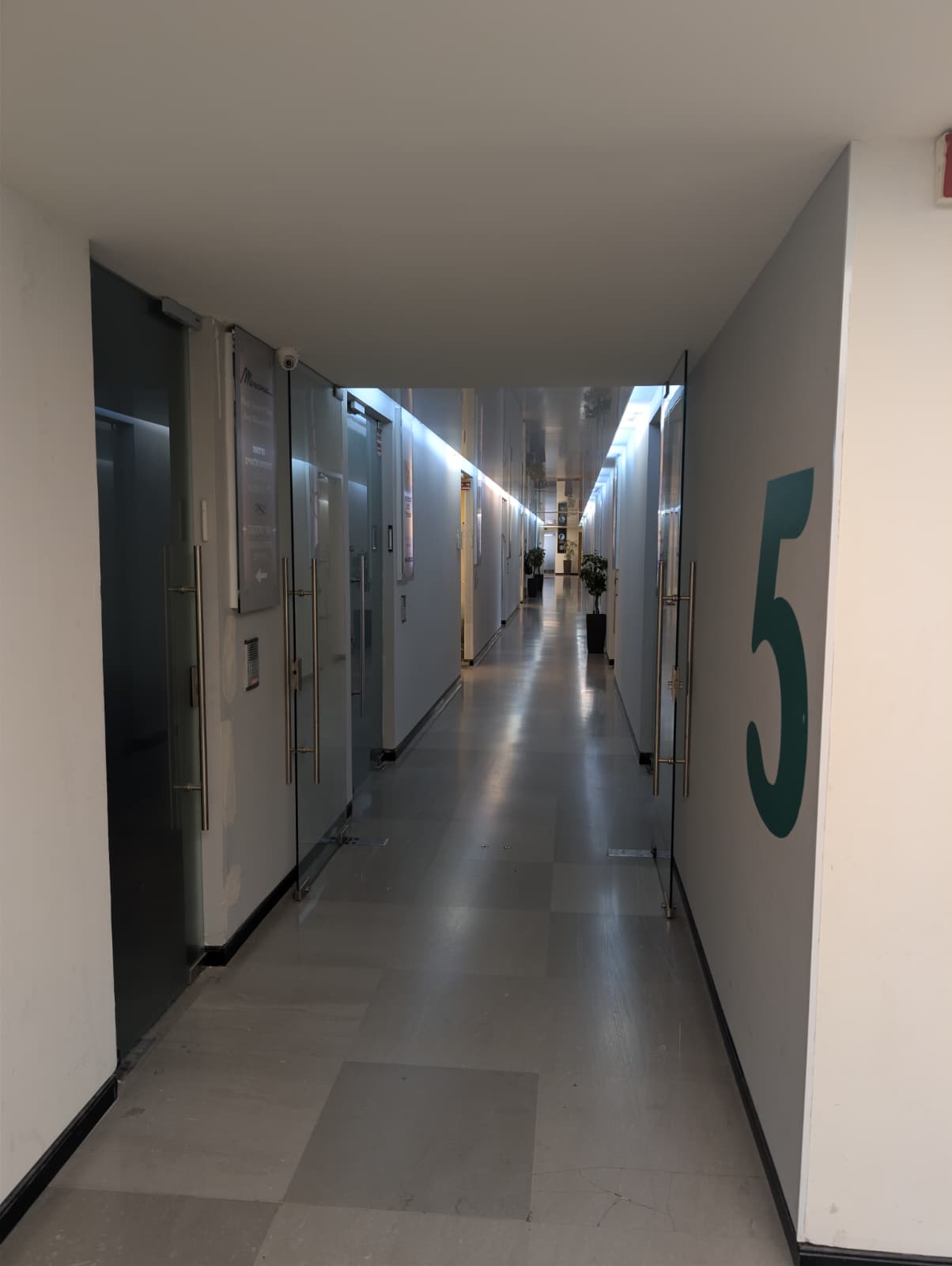 מסדרון קומה 5 עם ספרת 5 ירוקה גדולה